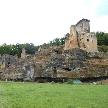 Cozy In Aquitaine With Private Swimming Pool Peyzac-le-Moustier